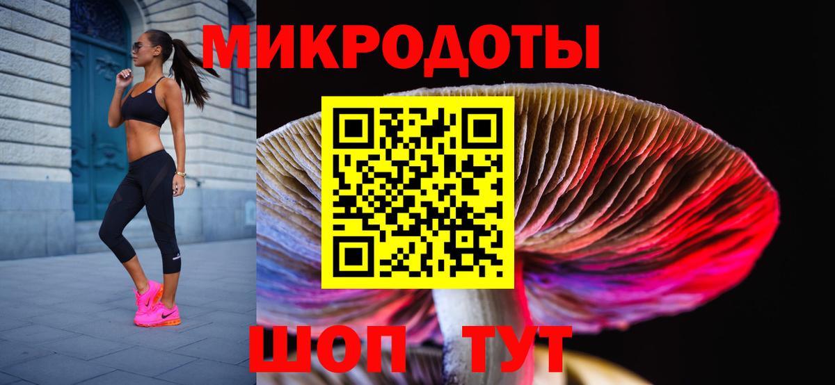 Луховицы  Псилоцибиновые грибы Psilocybe  Вход с VPN 